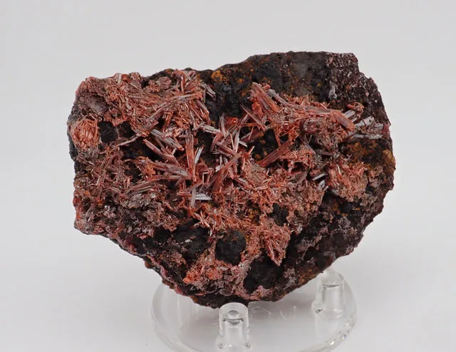 Crocoite Tasmania 2 | JESUS MONTES CHICO