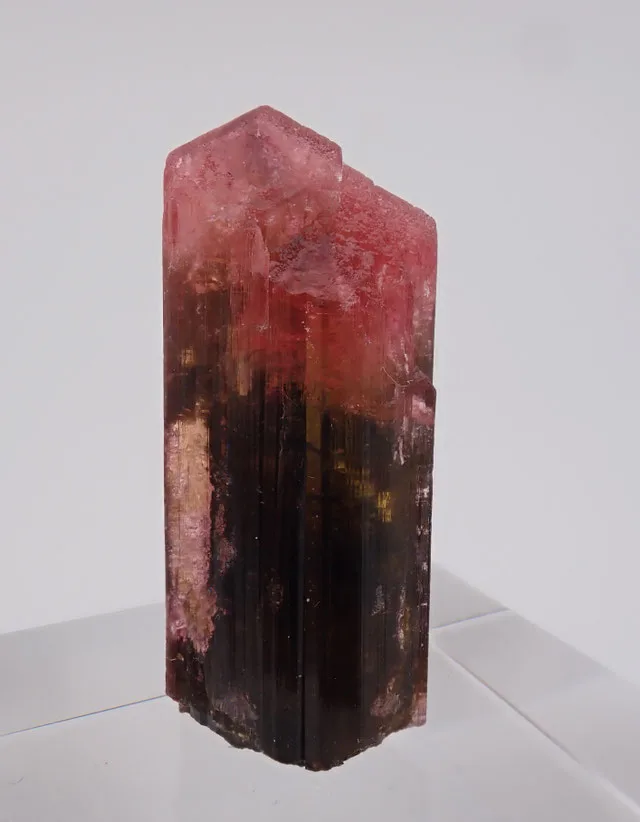 Malkhan Rubellite | JESUS MONTES CHICO