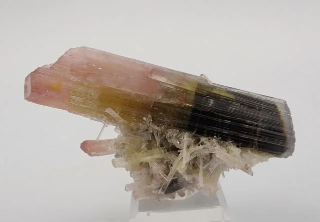 Pala Tourmaline 61 | JESUS MONTES CHICO