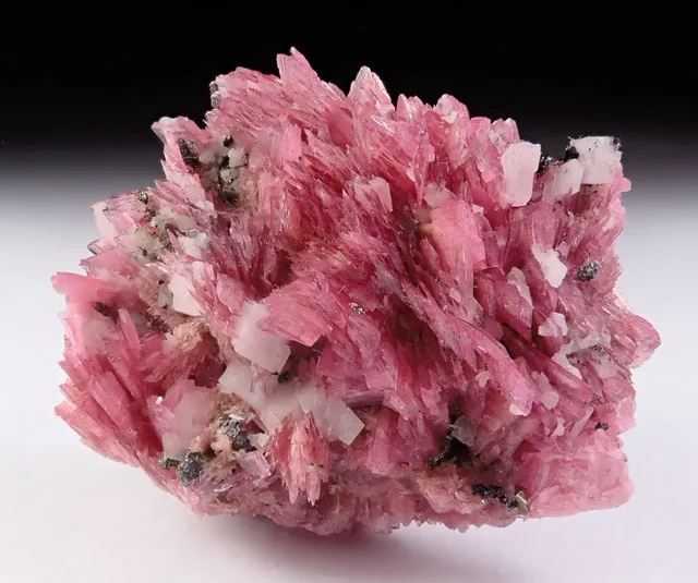 Rhodonite61 | JESUS MONTES CHICO