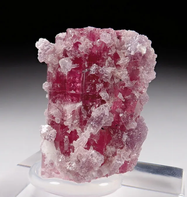 Rubellite 883 | JESUS MONTES CHICO